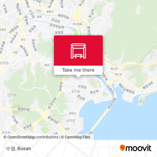 수영 map