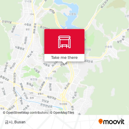 금사 map