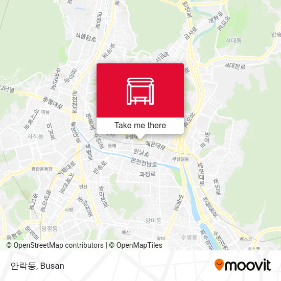 안락동 map