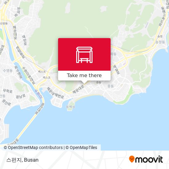 스펀지 map