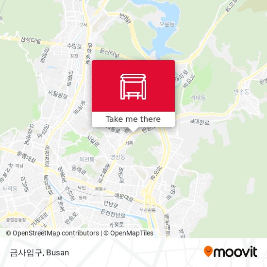 금사입구 map