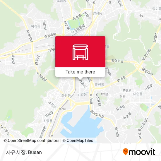 자유시장 map