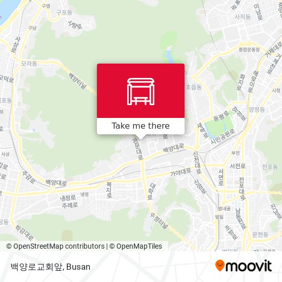 백양로교회앞 map