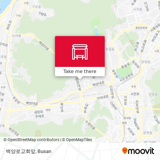 백양로교회앞 map