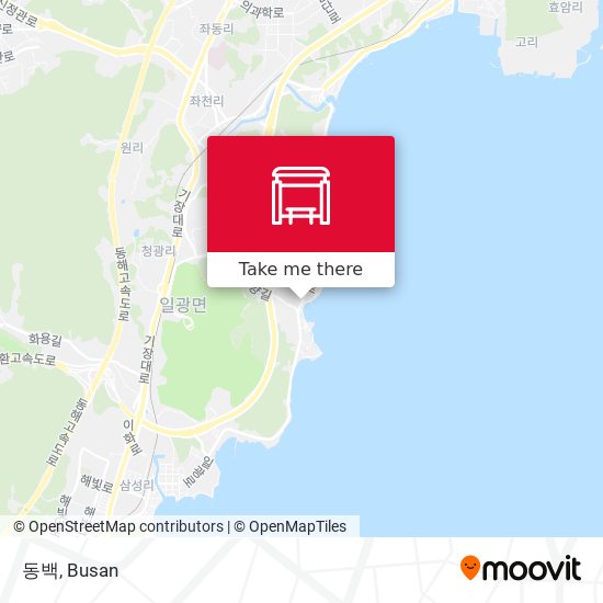 동백 map