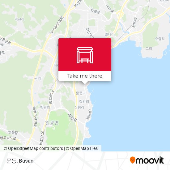 문동 map