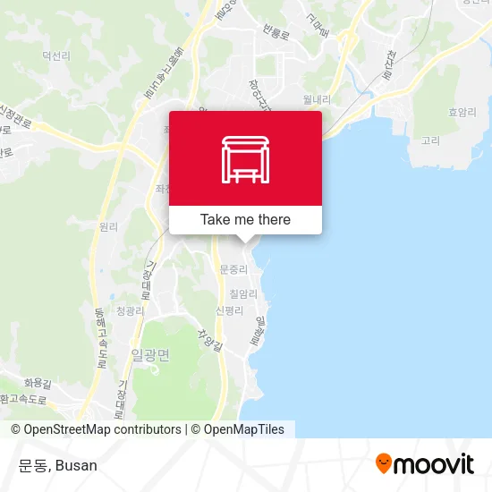 문동 map