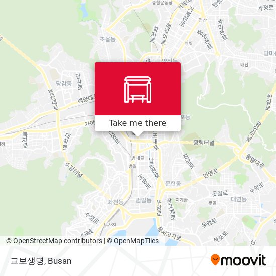 교보생명 map