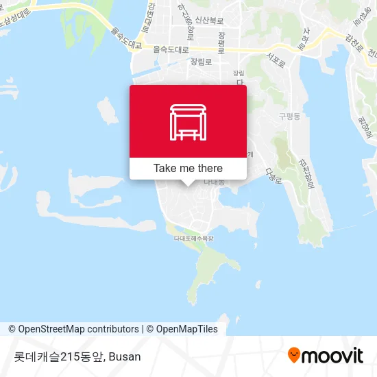 롯데캐슬215동앞 map