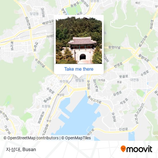 자성대 map