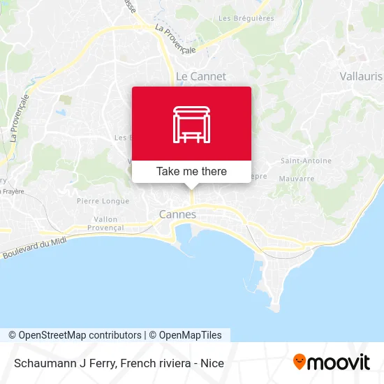 Schaumann J Ferry map