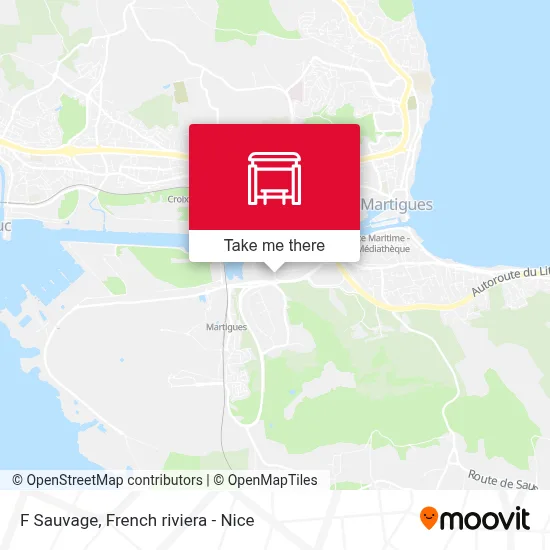 F Sauvage map