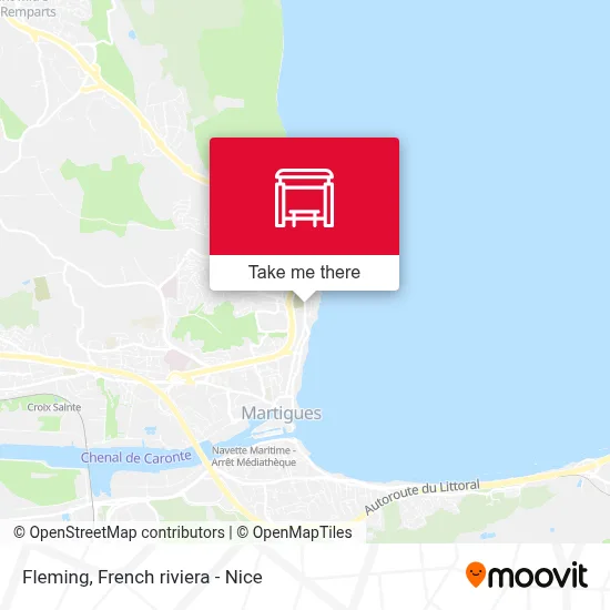 Fleming map