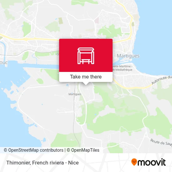 Thimonier map