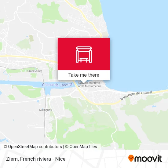 Ziem map