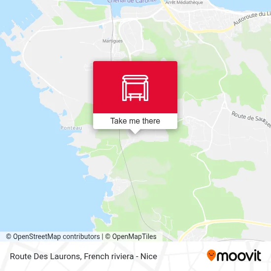 Route Des Laurons map