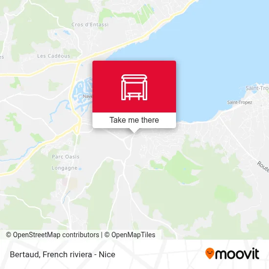 Bertaud map