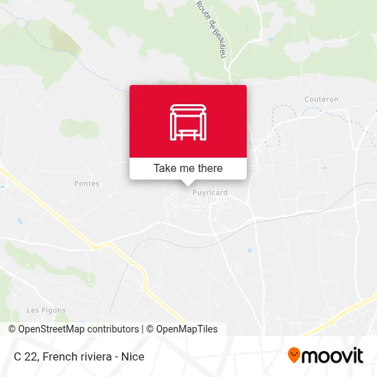 C 22 map