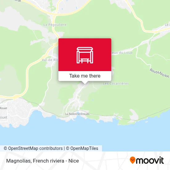 Magnolias map