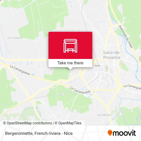 Bergeronnette map