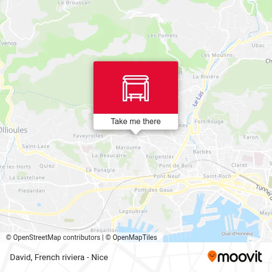 David map