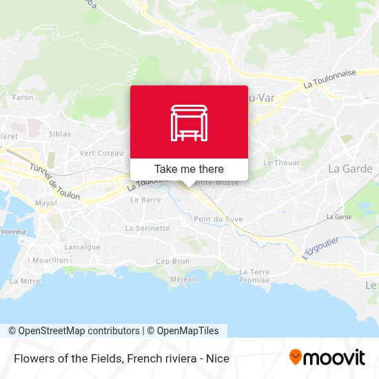 Fleurs Des Champs map