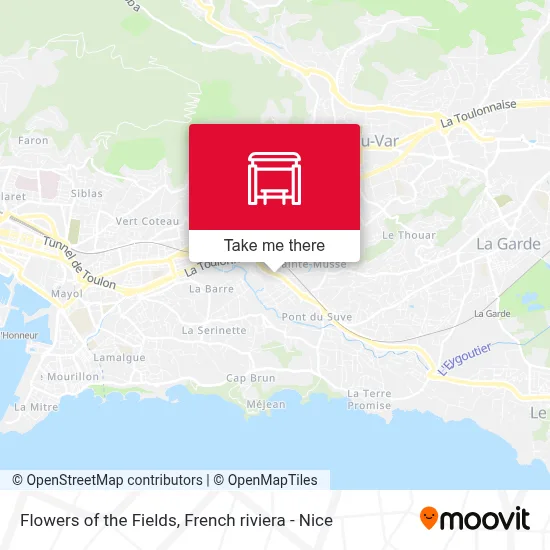 Mapa Fleurs Des Champs