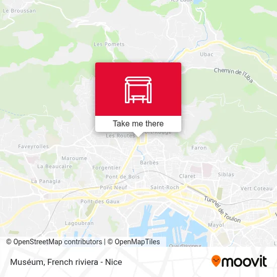 Muséum map