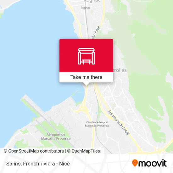 Salins map