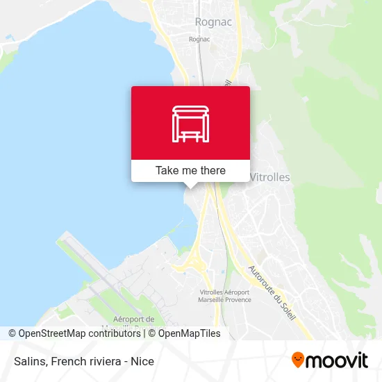 Salins map