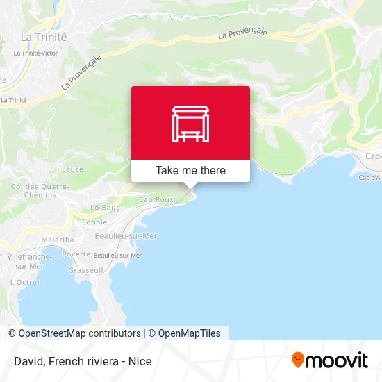 Mapa David