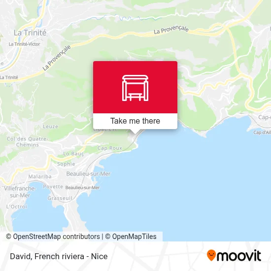 David map