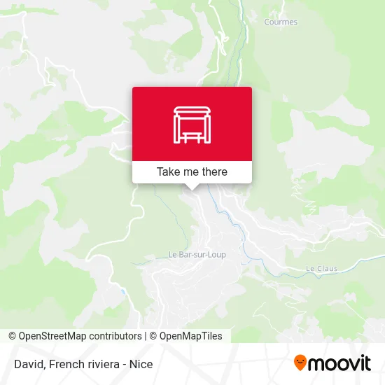David map