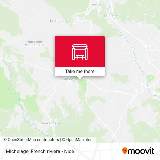 Michelage map