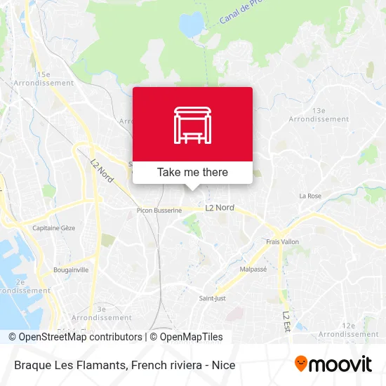 Braque Les Flamants map
