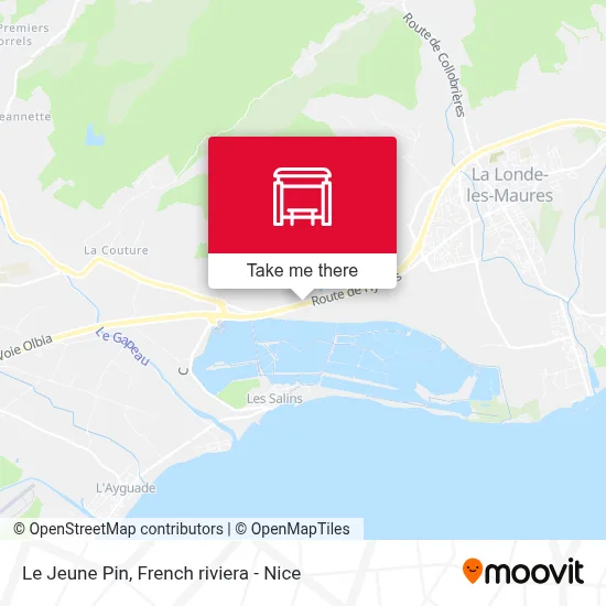 Mapa Le Jeune Pin