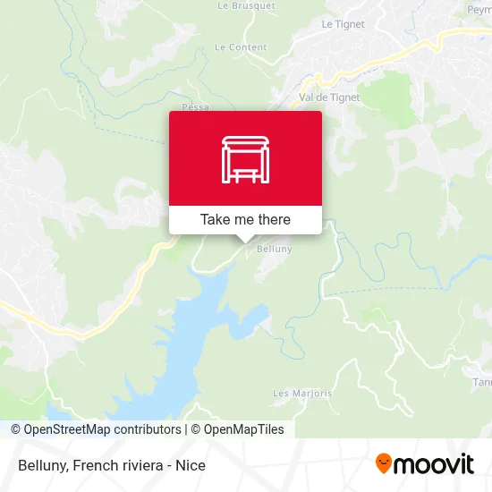 Belluny map