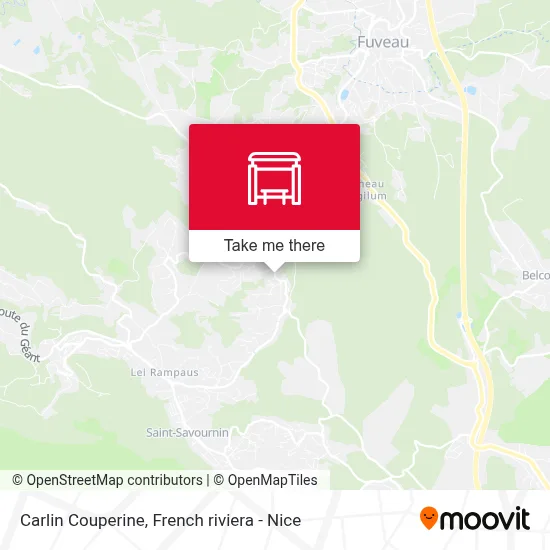 Carlin Couperine map