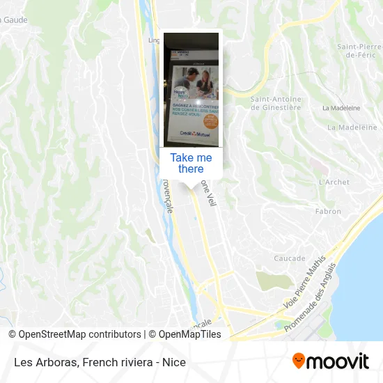 Les Arboras map