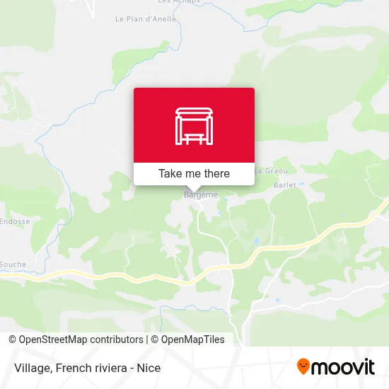 Village map