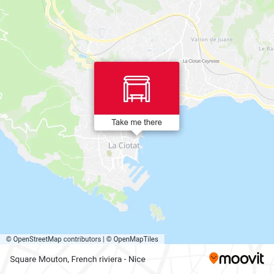 Square Mouton map