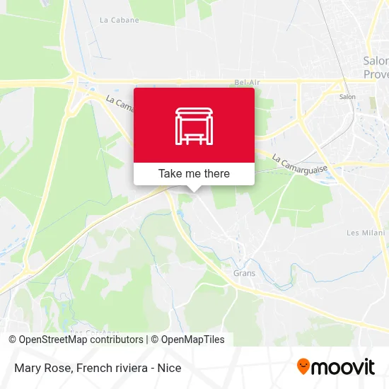 Mary Rose map
