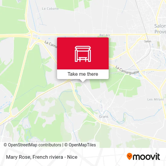 Mary Rose map