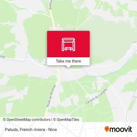 Mapa Paluds