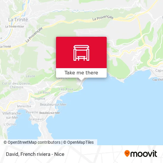 David map