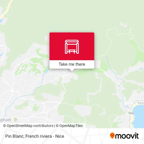 Pin Blanc map
