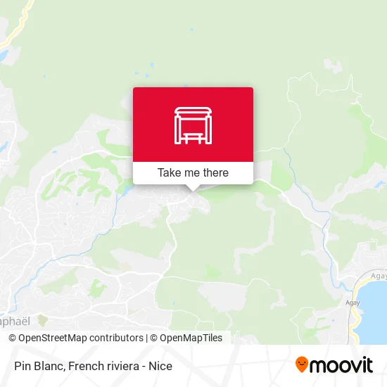 Pin Blanc map
