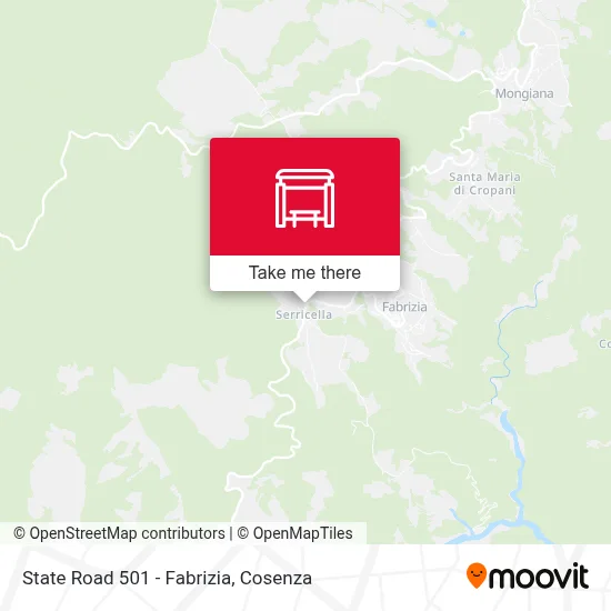State Road 501 - Fabrizia map