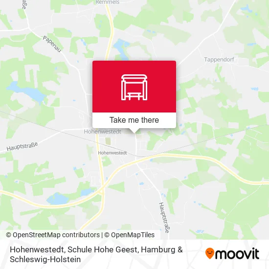 Карта Hohenwestedt, Schule Hohe Geest
