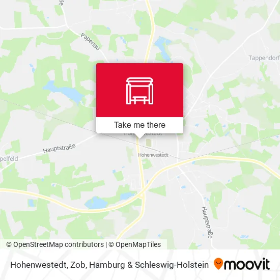 Карта Hohenwestedt, Zob